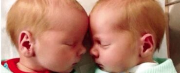 gemelli Mammastobene.com