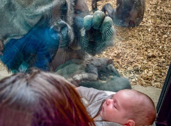 Incontro tra mamme allo zoo