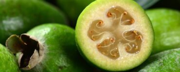 guava di montagna Mammastobene.com