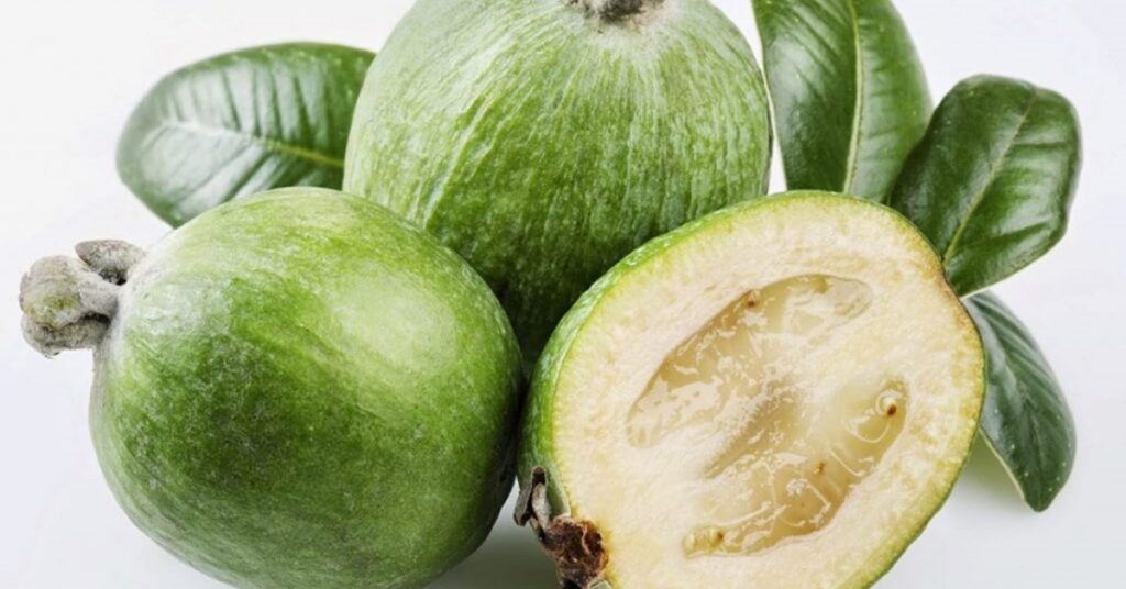 guava di montagna Mammastobene.com