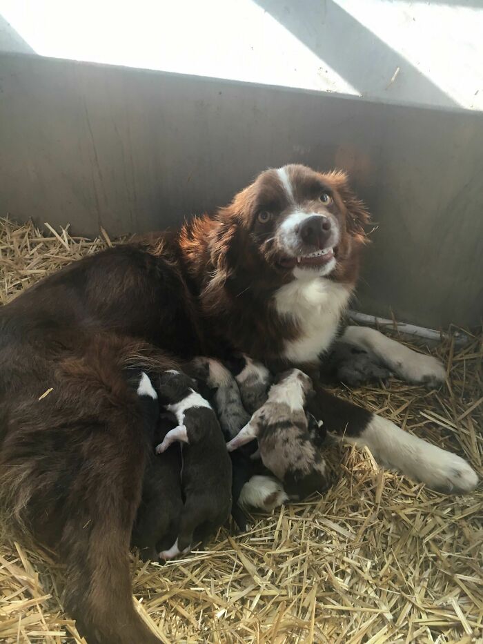 mamma sembra sorridere