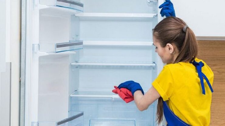 pulire le gomme del frigorifero