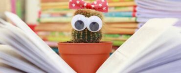 cactus in casa