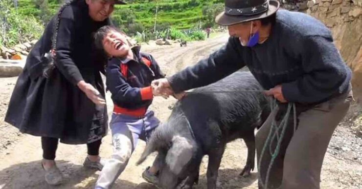 Bambino prega di non portare il maiale