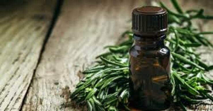 Come usare il tea tree oil in casa