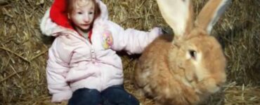 Bimba con nanismo primordiale