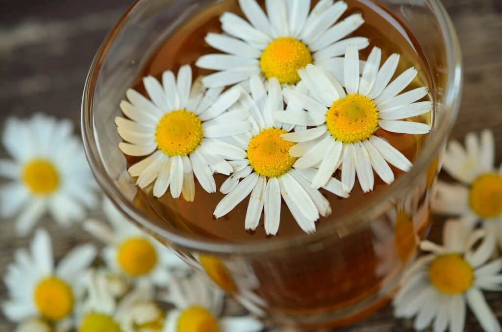 Infuso di camomilla per bambini