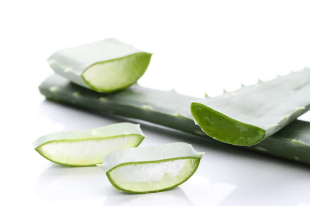 Benefici aloe vera sui capelli