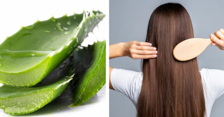 Benefici aloe vera sui capelli