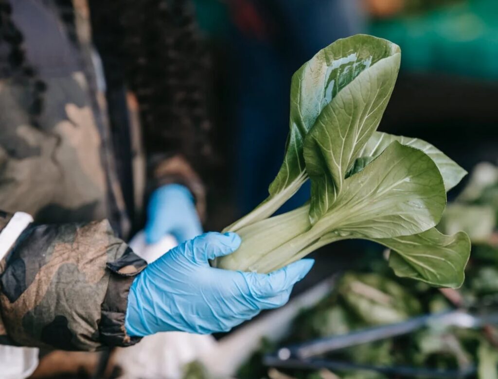 Vitamine importanti per la crescita dei capelli