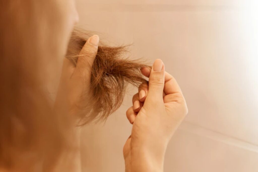Benefici dell'olio di girasole per capelli