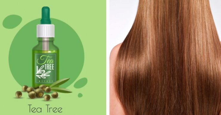 Benefici del tea tree oil per i capelli