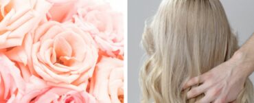 Acqua di rose sui capelli