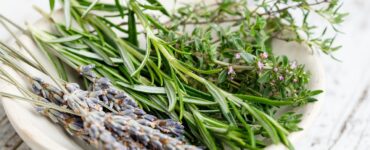 Tutti i segreti delle erbe aromatiche da conoscere