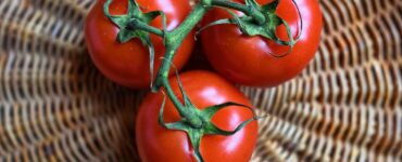 Giornata mondiale della sicurezza alimentare