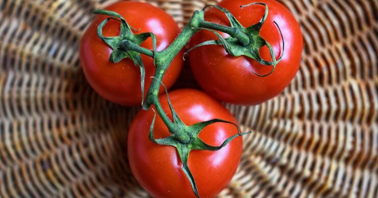 Giornata mondiale della sicurezza alimentare