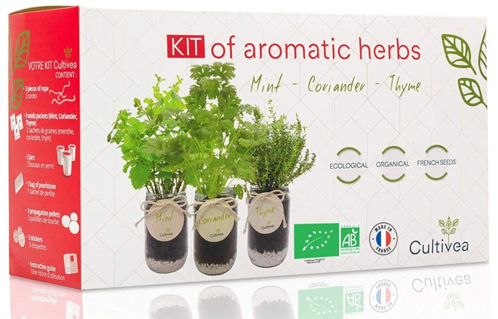 Migliori piante aromatiche