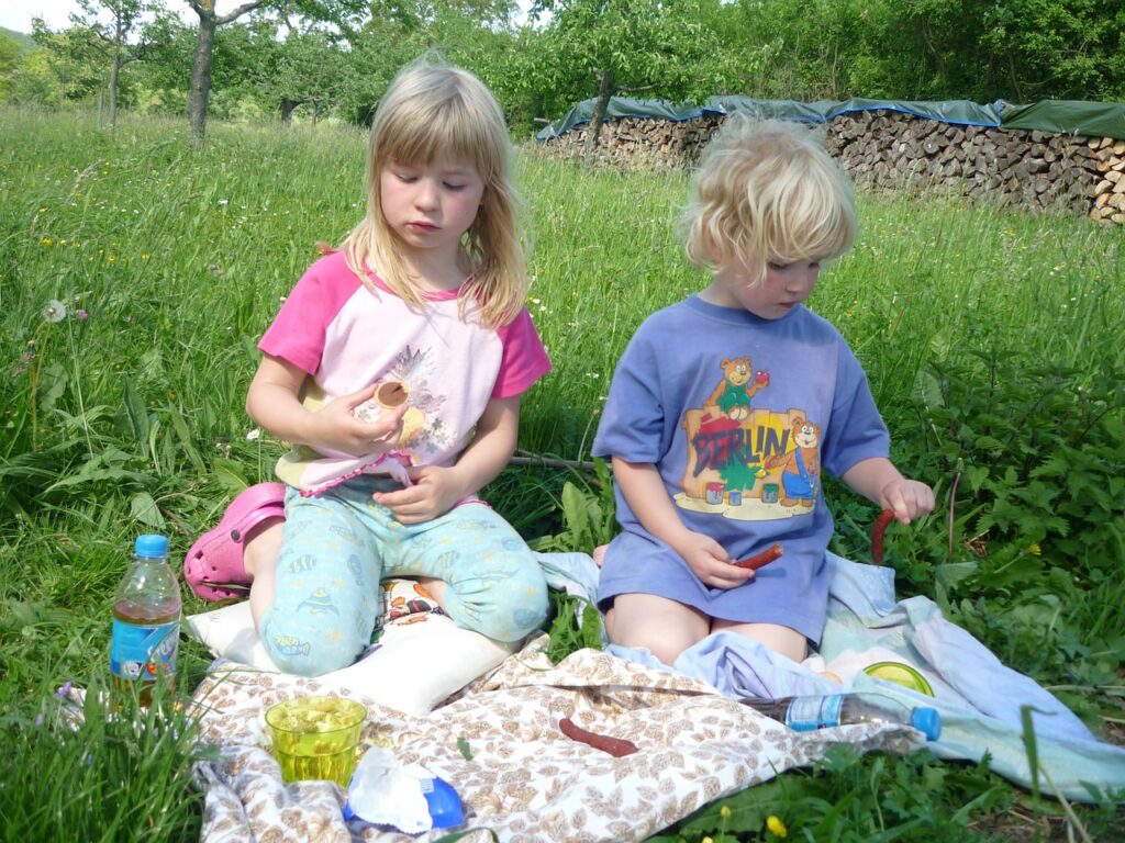 picnic bambini