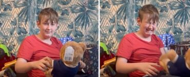 Peluche con la voce della mamma morta fa piangere un ragazzino