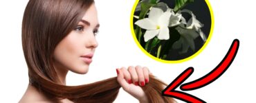 Benefici fiori di Caienna per capelli