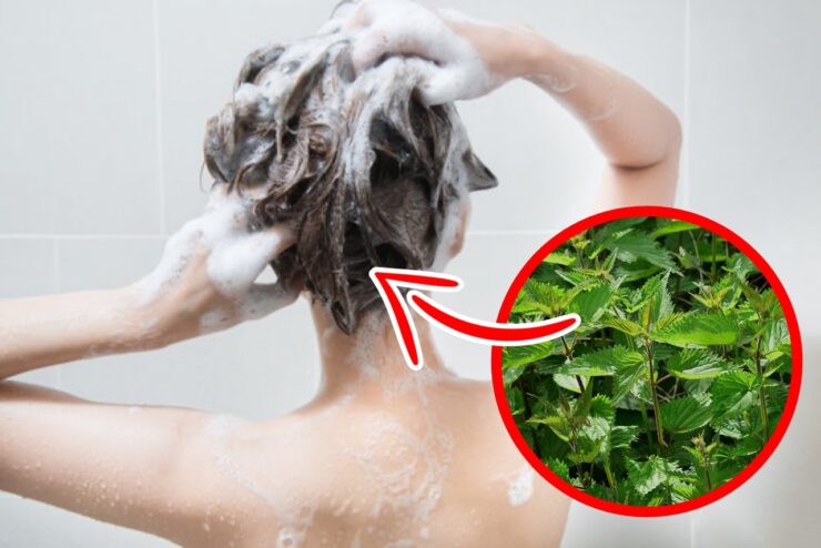 Shampoo con piante del giardino