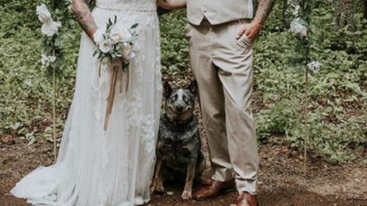 Cane sorride nelle foto del matrimonio del suo proprietario