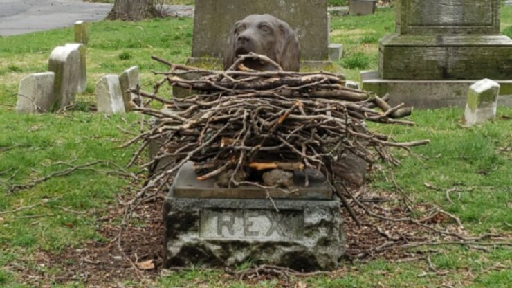 Bastoncini sulla statua di bronzo di un cane morto più di 100 anni fa