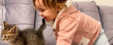 bambina gattino