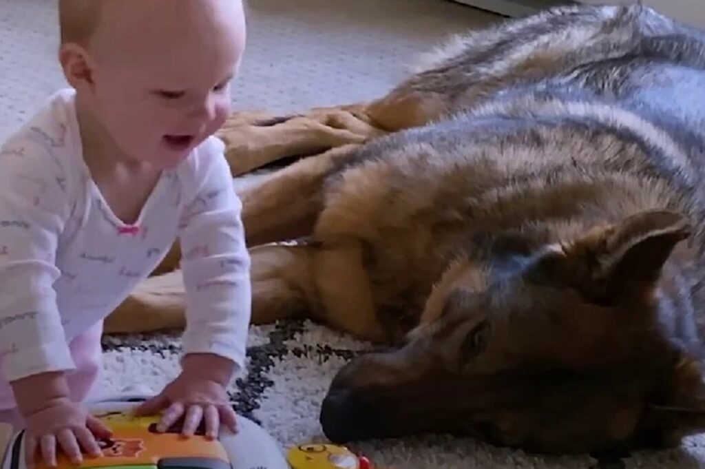 cane poliziotto sorellina