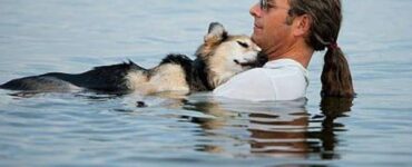 cane padrone lago